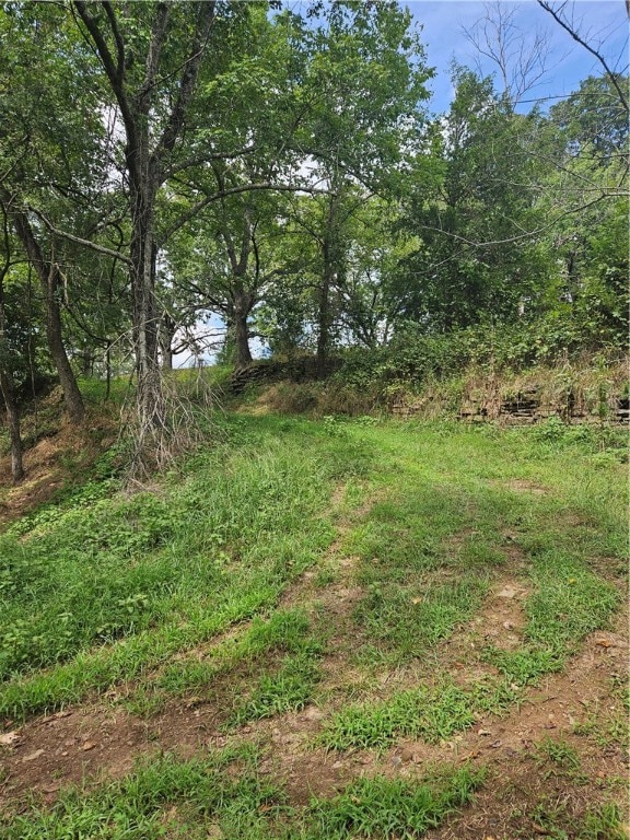 Listing photo 3 for TBD Highway 295, Huntsville AR 72740