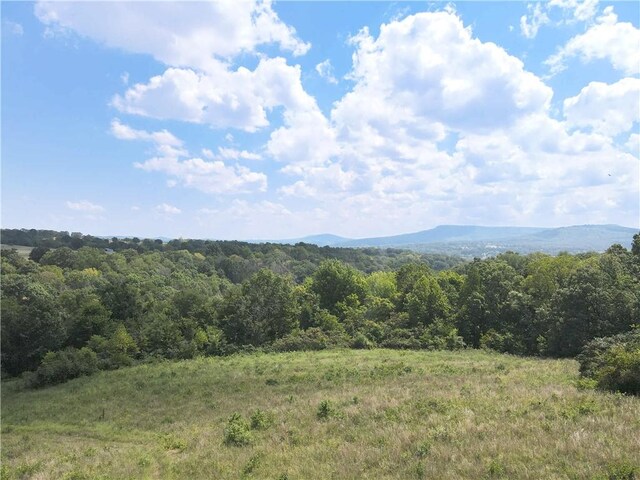TBD County Road 966, Alpena, AR 72611 - photo 11