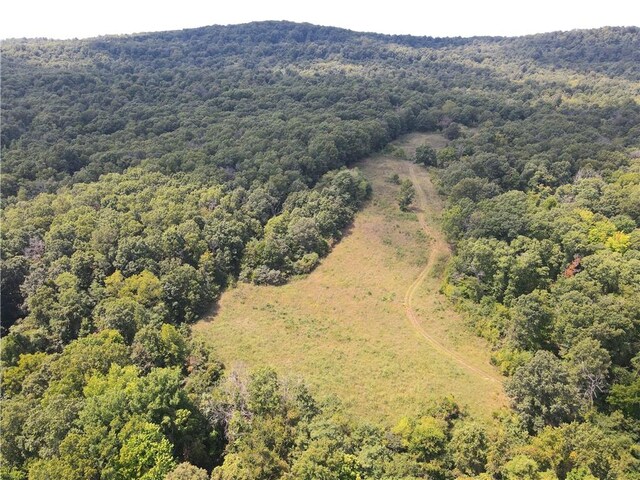 TBD County Road 966, Alpena, AR 72611 - photo 13