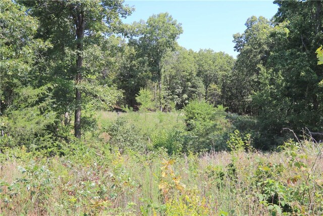 TBD County Road 966, Alpena, AR 72611 - photo 29