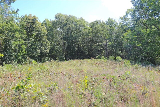 TBD County Road 966, Alpena, AR 72611 - photo 30