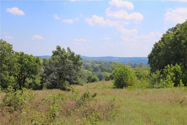 TBD County Road 966, Alpena, AR 72611 - photo 33