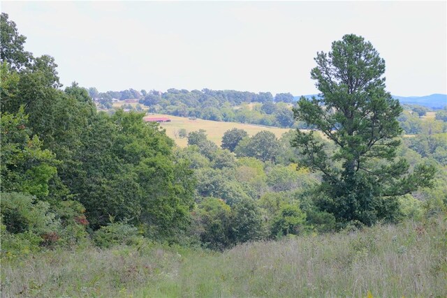 TBD County Road 966, Alpena, AR 72611 - photo 34