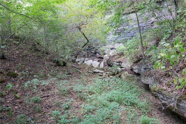 TBD County Road 966, Alpena, AR 72611 - photo 35