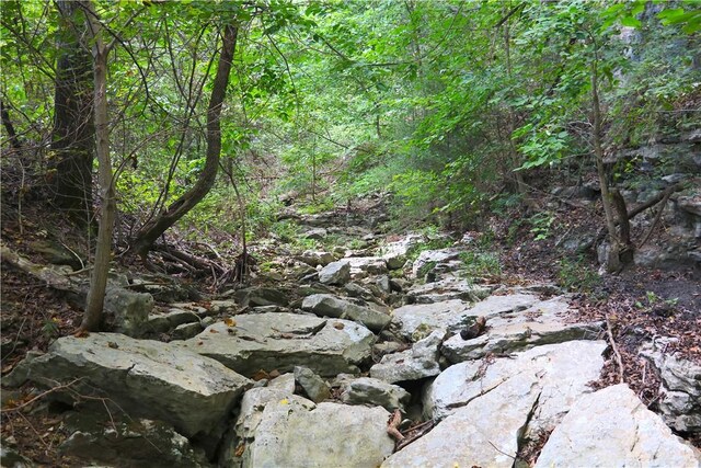 TBD County Road 966, Alpena, AR 72611 - photo 36
