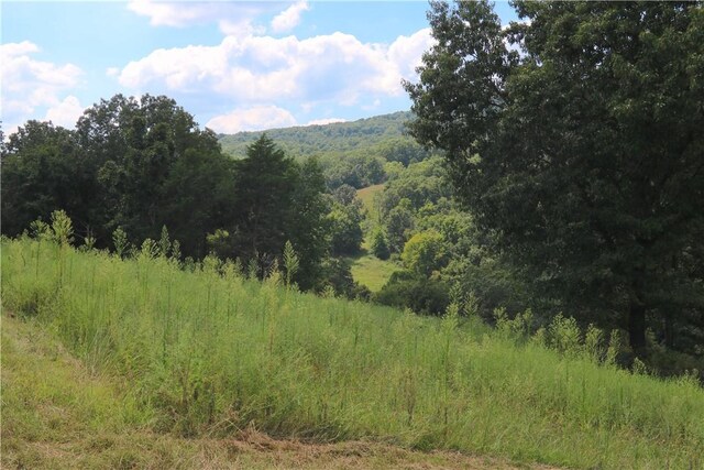 TBD County Road 966, Alpena, AR 72611 - photo 41