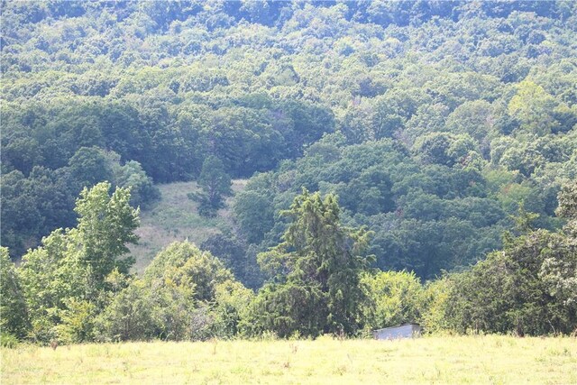 TBD County Road 966, Alpena, AR 72611 - photo 45