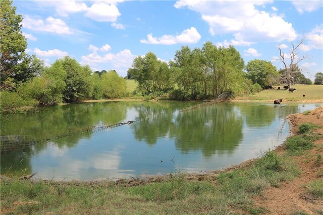 TBD County Road 966, Alpena, AR 72611 - photo 47