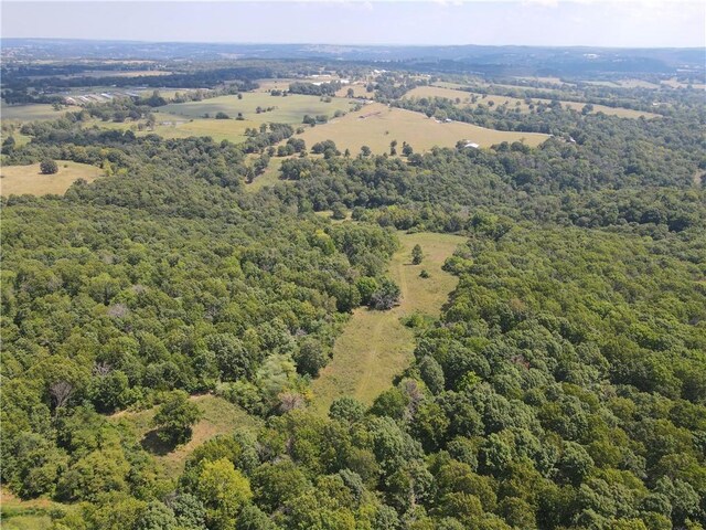 TBD County Road 966, Alpena, AR 72611 - photo 3
