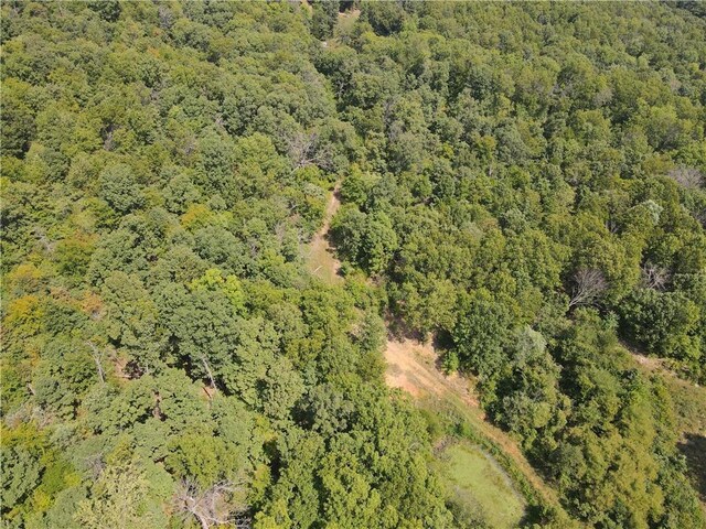 TBD County Road 966, Alpena, AR 72611 - photo 4
