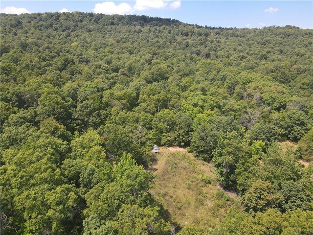 TBD County Road 966, Alpena, AR 72611 - photo 6