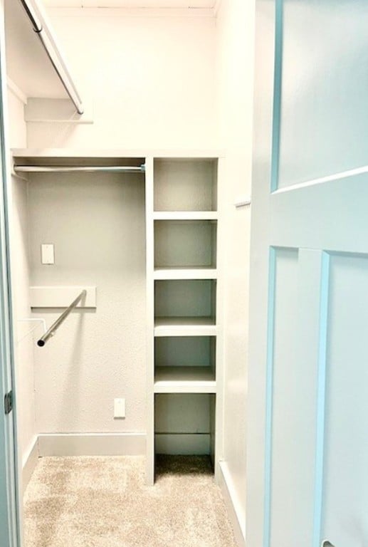 spacious closet featuring light colored carpet