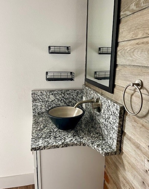 bathroom with wood finished floors and vanity