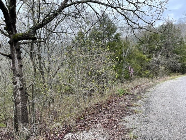 36 Starlite Ave, Holiday Island AR, 72631 land for sale