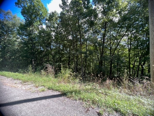 Listing photo 3 for 27 Wildcat Ln, Holiday Island AR 72631