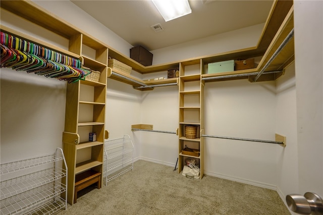 walk in closet featuring carpet flooring