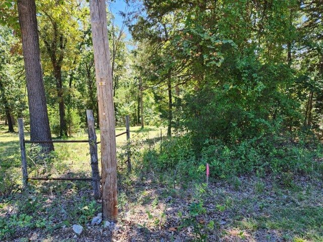 Polite Rd, Omaha, AR 72662