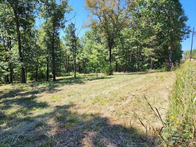 Polite Rd, Omaha AR, 72662 land for sale