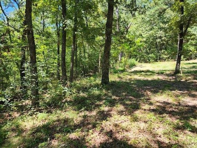 Polite Rd, Omaha, AR 72662
