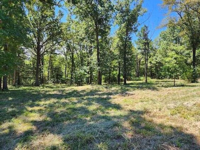 Polite Rd, Omaha, AR 72662