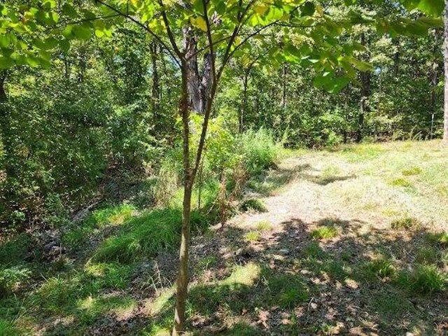 Polite Rd, Omaha, AR 72662