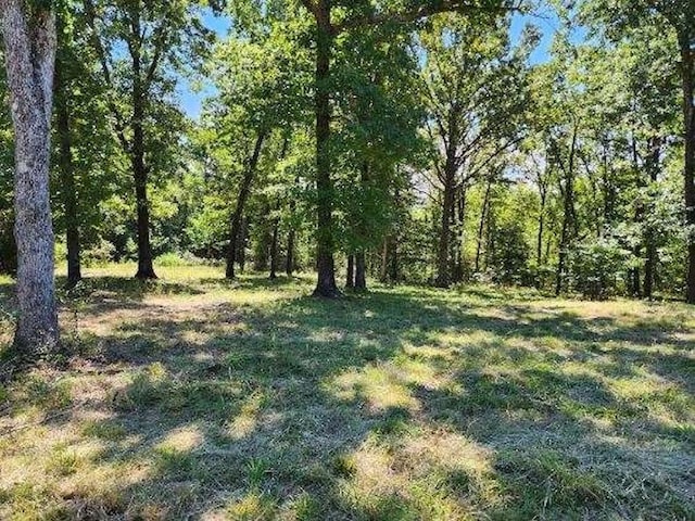 Polite Rd, Omaha, AR 72662