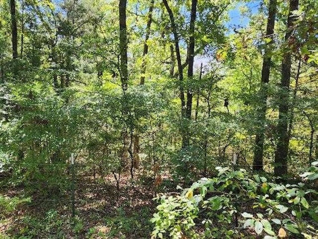 Polite Rd, Omaha, AR 72662