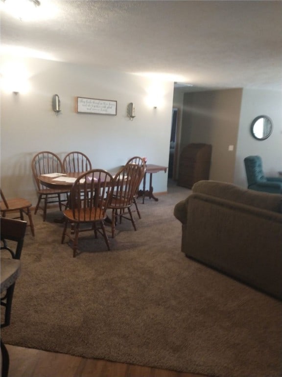 dining room with a textured ceiling and hardwood / wood-style floors