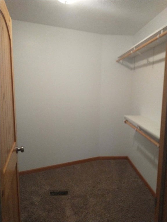 spacious closet featuring carpet flooring