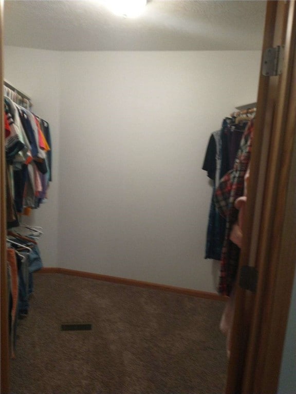 spacious closet featuring carpet