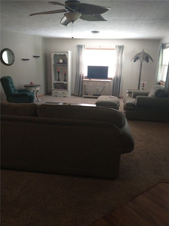 living room with ceiling fan and wood-type flooring