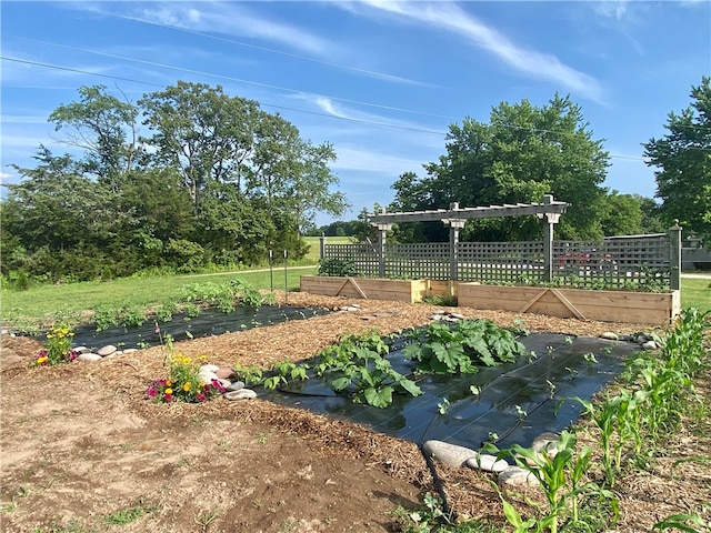 view of yard with a pergola