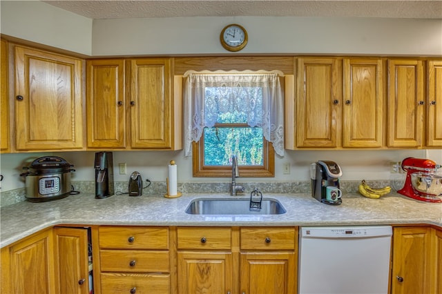 kitchen featuring dishwasher and sink