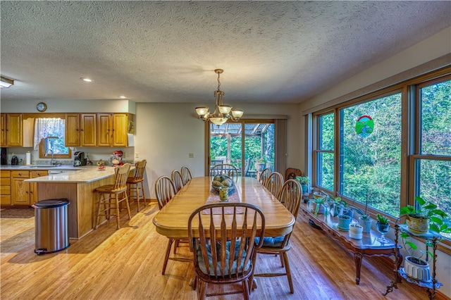 dining room featuring a notable chandelier, light wood-type flooring, and a wealth of natural light