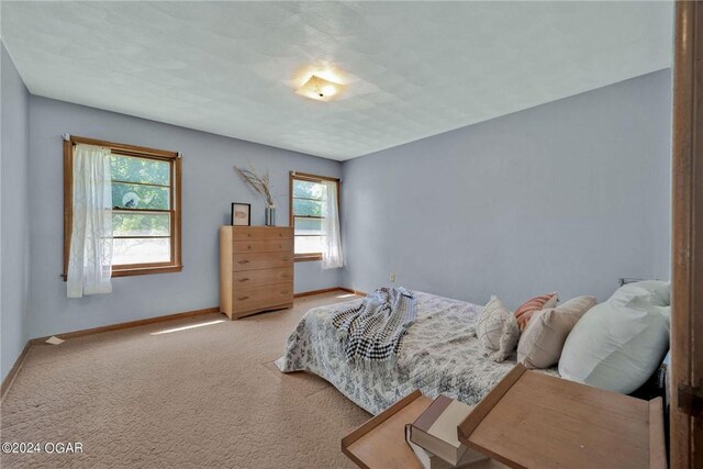 bedroom with light colored carpet