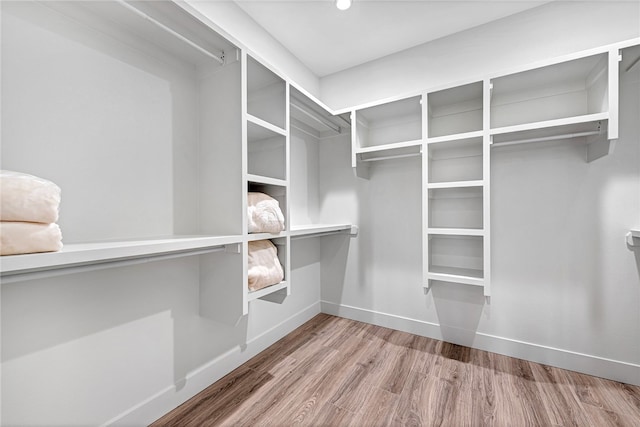 spacious closet with wood-type flooring