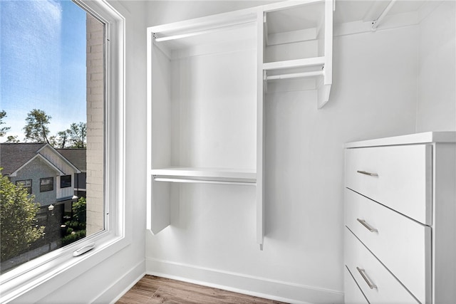 spacious closet featuring hardwood / wood-style flooring