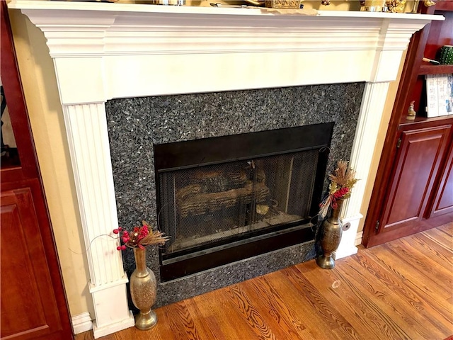 room details with a premium fireplace and wood finished floors