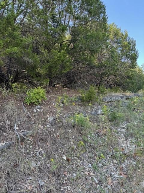 Table Rock Dr, Holiday Island, AR 72631 - photo 1