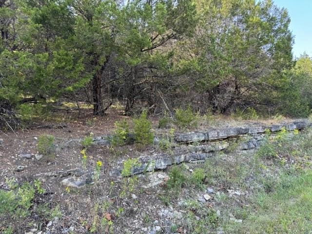 Table Rock Dr, Holiday Island, AR 72631 - photo 2