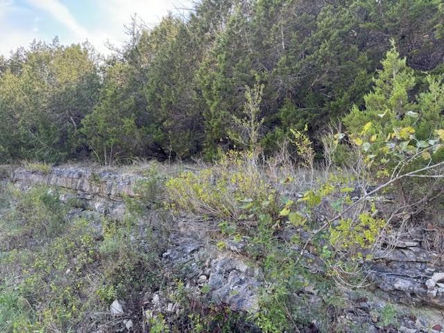 Table Rock Dr, Holiday Island, AR 72631 - photo 4