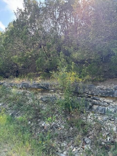 Table Rock Dr, Holiday Island, AR 72631 - photo 5