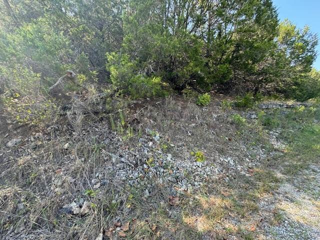 Table Rock Dr, Holiday Island, AR 72631 - photo 7