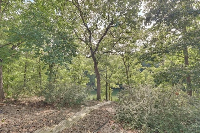 view of nature featuring a wooded view