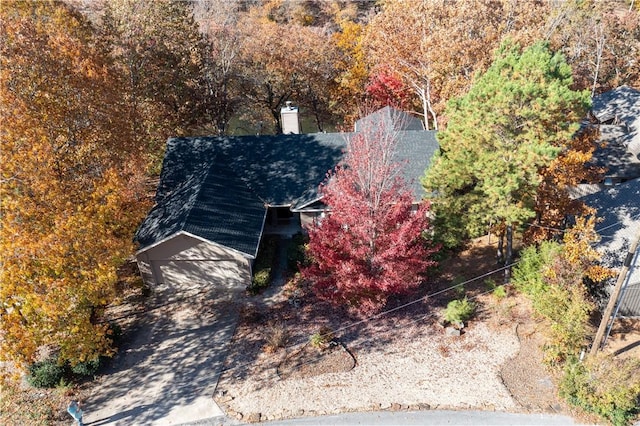 bird's eye view