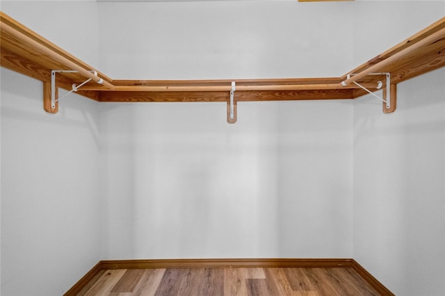 walk in closet featuring hardwood / wood-style floors