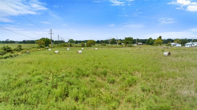 view of local wilderness featuring a rural view