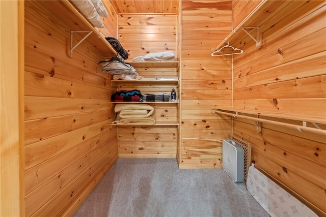 spacious closet featuring light colored carpet