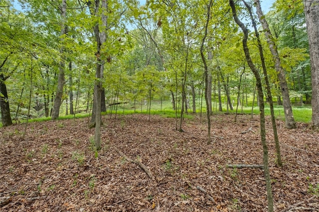 LOT26 Dogwood Dr, Garfield AR, 72732 land for sale