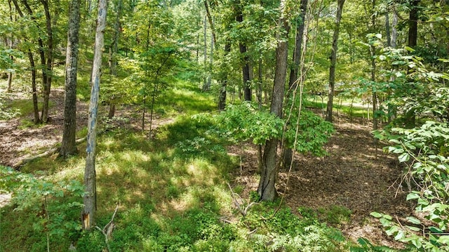 Listing photo 2 for LOT26 Dogwood Dr, Garfield AR 72732